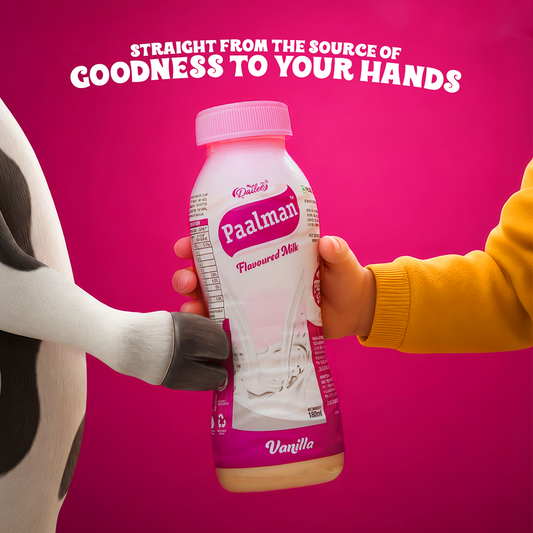 Dailee Paalman Vanilla Flavoured Milk